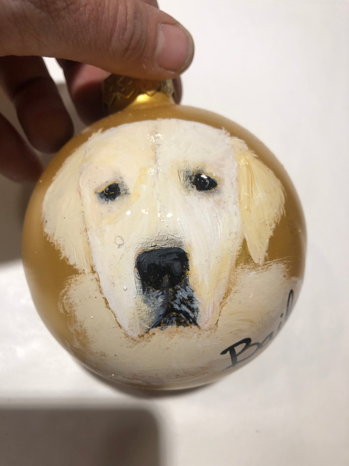 Amigo de cuatro patas pintado