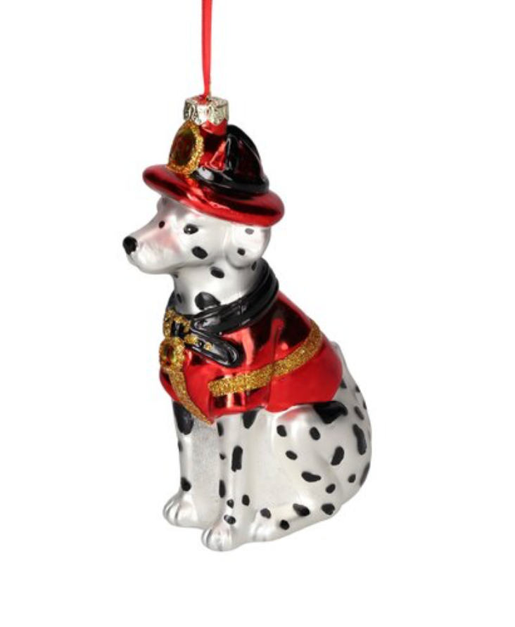 Dalmata